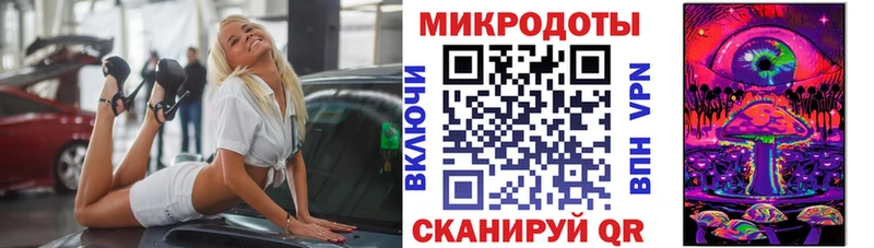 Галлюциногенные грибы Psilocybine cubensis  Красный Сулин 